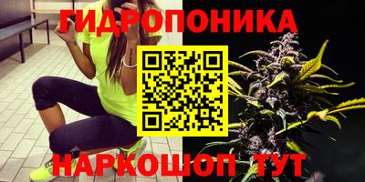 бошки Свободный