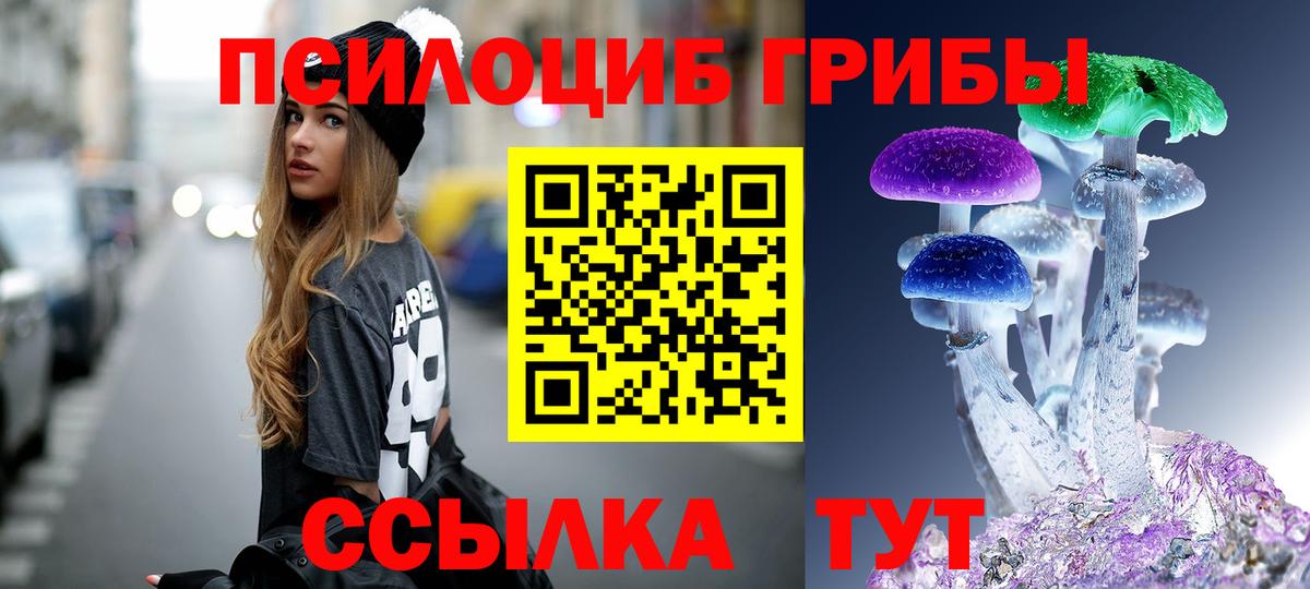 Псилоцибиновые грибы Cubensis  Вход с VPN  Псилоцибиновые грибы ЛСД  Обнинск 